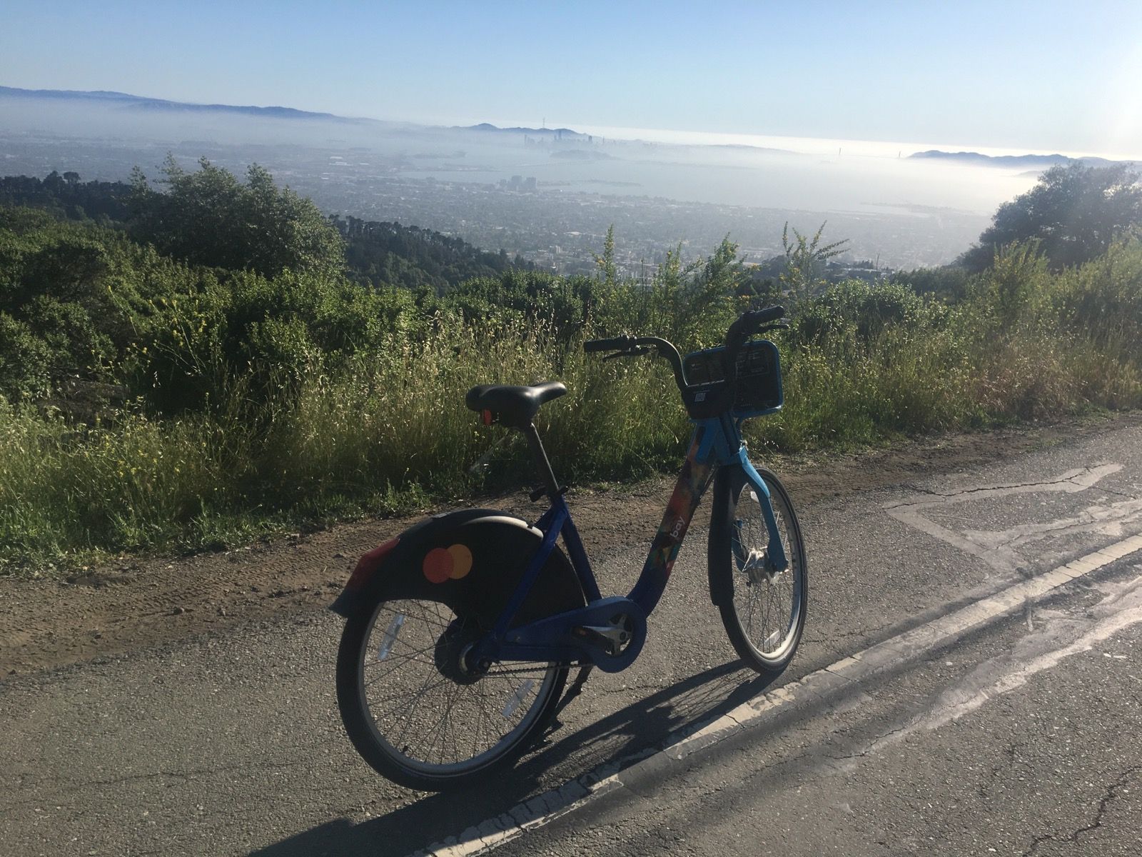 A bikeshare bike parked on Grizzly Peak Road above Berkeley, the bay and San Francisco skyline in the distance